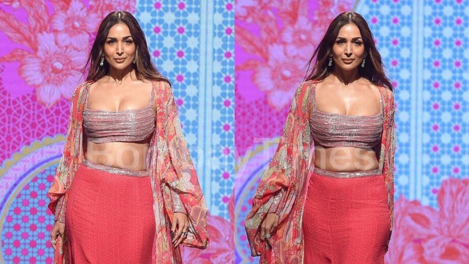 Malaika Arora takes over internet by storm on ramp, looks sizzling in deep-neck blouse 800837