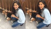 Meet Sai Pallavi’s favourite ‘crush’, you will be shocked