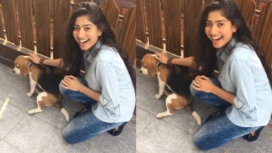 Meet Sai Pallavi’s favourite ‘crush’, you will be shocked