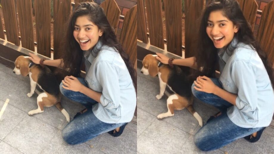 Meet Sai Pallavi's favourite 'crush', you will be shocked 796015