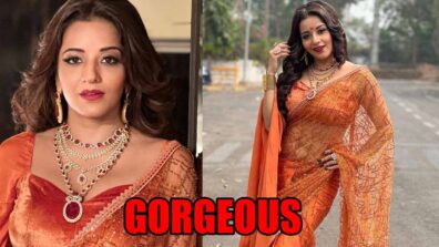 Monalisa looks resplendent in embellished orange saree, fans can’t stop crushing