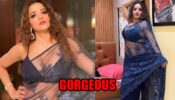 Monalisa Sets Internet On Fire In See-Through Transparent Blue Saree, Check Photos