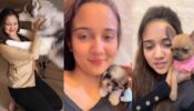 My pets Tilly, Joey, and Dobby have become an integral part of my life: Ashi Singh
