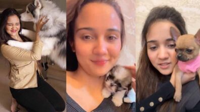 My pets Tilly, Joey, and Dobby have become an integral part of my life: Ashi Singh