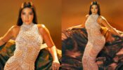 Nora Fatehi is the girl of your dreams, see sizzling photodump