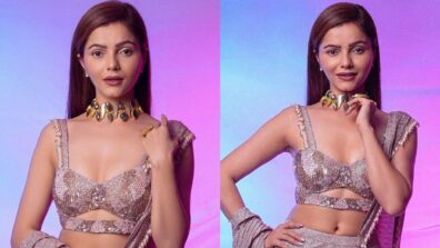 Rubina Dilaik outshines in glittery pre-draped saree, pics inside