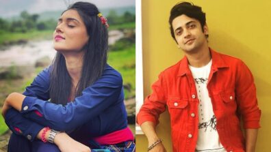 Scoop: Are Mallika Singh and Sumedh Mudgalkar returning on-screen again?