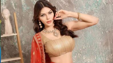 Sherlyn Chopra files molestation case in Mumbai’s Juhu police station, all details inside