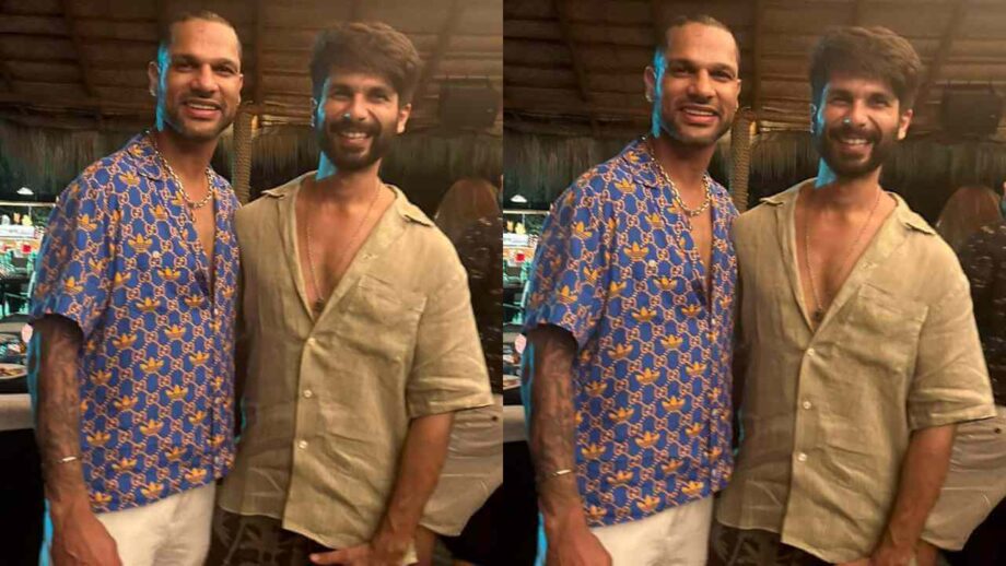 Shikhar Dhawan and Shahid Kapoor party hard together, (viral pic alert) 801287