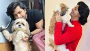 Siddharth Nigam’s pawdorable moments with his doggo will leave you awed