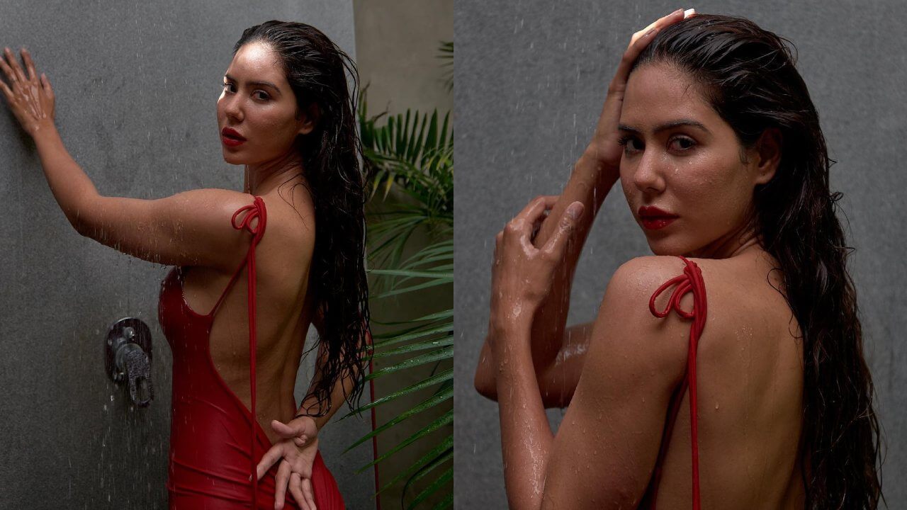 Sonam Bajwa rings in red hot backless bodycon under shower, see pics 795113