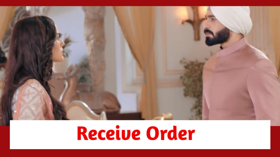 Teri Meri Doriyaann Spoiler: Angad and Sahiba receive an order 800548