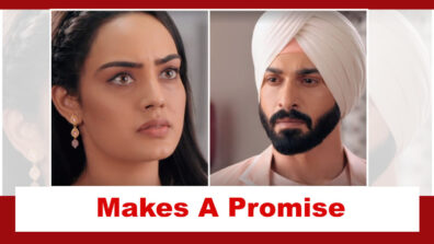 Teri Meri Doriyaann Spoiler: Sahiba makes a promise to Angad