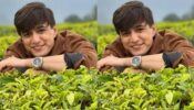 Mohsin Khan is feeling romantic in hills, check out