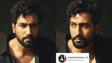 Vicky Kaushal looks stunning in latest photo series, Malavika Mohanan loves it