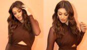 Hansika Motwani sirens glam in chocolate adorn, see pics