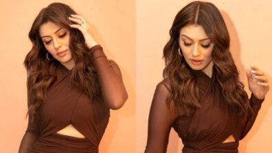 Hansika Motwani sirens glam in chocolate adorn, see pics