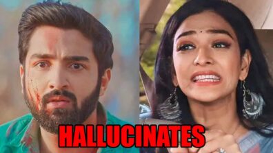 Bhagya Lakshmi spoiler: Rishi hallucinates being with Lakshmi