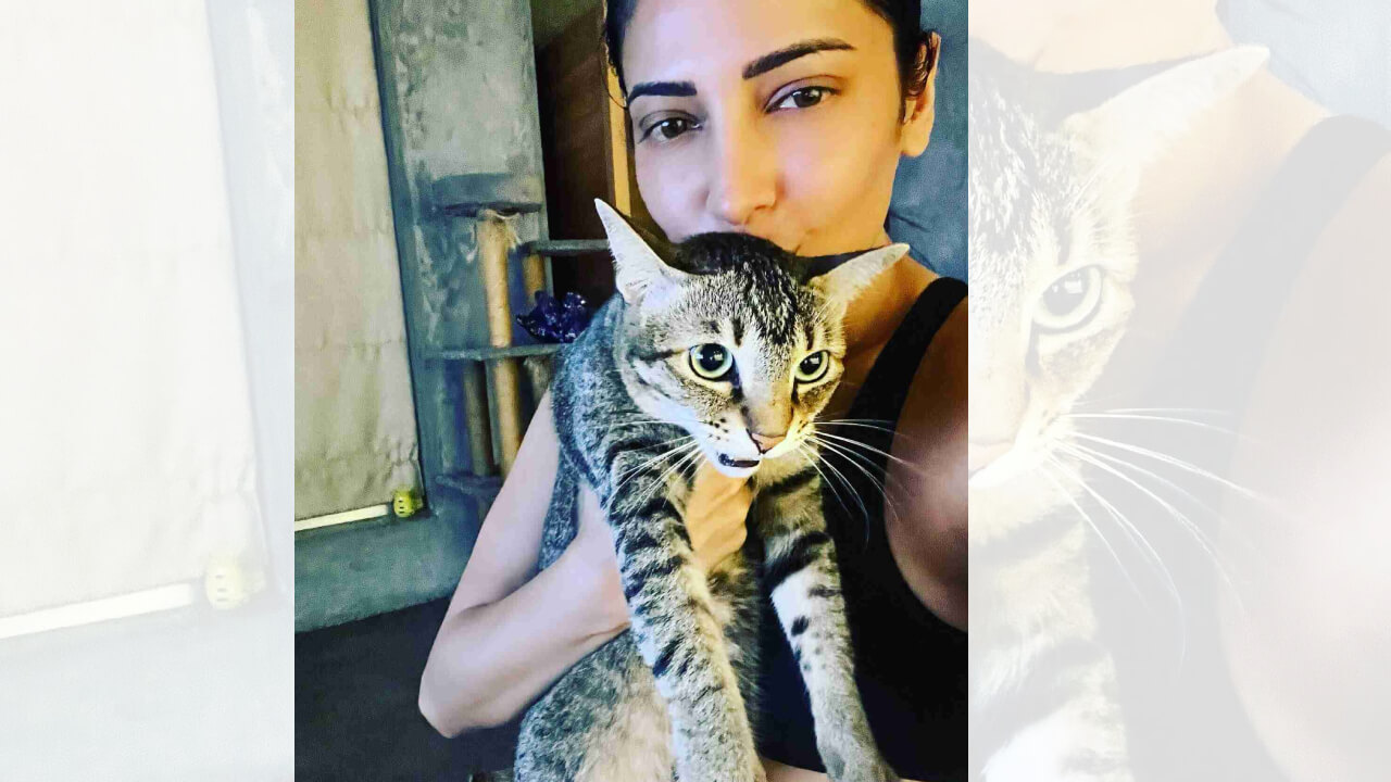 Check Out: Shruti Haasan's Special Bundle Of Joy 805368