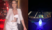 Desserts To Long Drive: Nia Sharma Enjoys Magic Night, See Pic