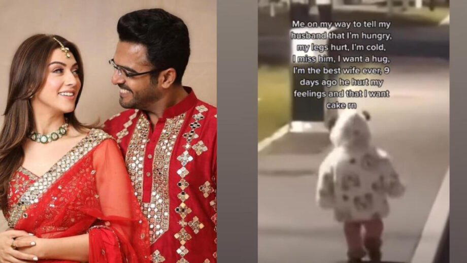 Hansika Motwani’s special message for husband Sohael Khaturiya will leave you awe, read 803373