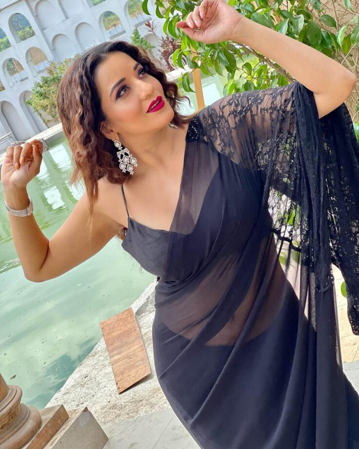 Hotness Alert: Monalisa Wows In Black See-Through Saree 807762