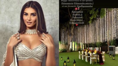 Inside Tara Sutaria’s grand party night