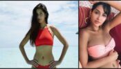Katrina Kaif and Nora Fatehi in crochet bikini styles, what a visual delight