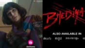 Kriti Sanon’s big ‘Bhediya’ return