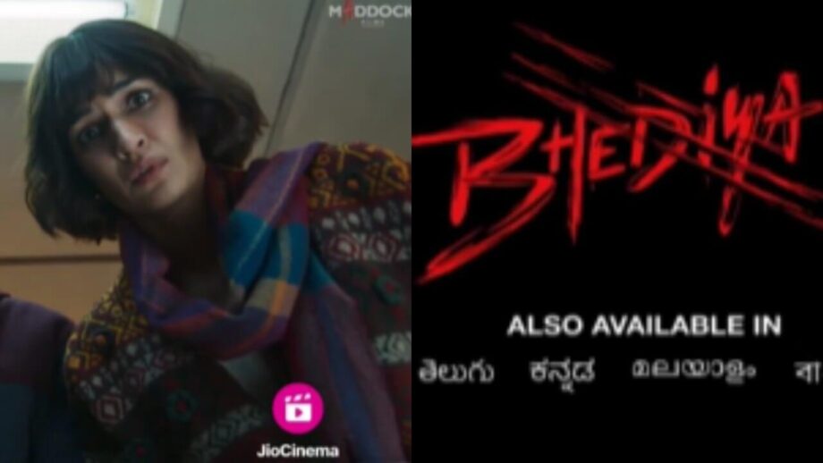 Kriti Sanon's big 'Bhediya' return 809455