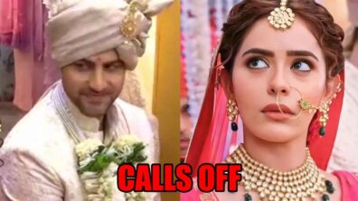 Kundali Bhagya spoiler: Ketan calls off his wedding with Palki