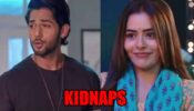 Kundali Bhagya spoiler: OMG! Shaurya KIDNAPS Palki