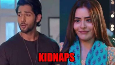 Kundali Bhagya spoiler: OMG! Shaurya KIDNAPS Palki