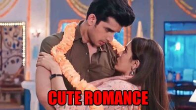 Kundali Bhagya spoiler: Palki and Rajveer’s cute romance during engagement preparation