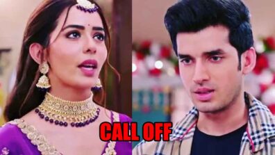 Kundali Bhagya spoiler: Rajveer asks Palki to call off her marriage