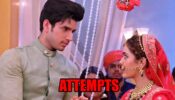 Kundali Bhagya spoiler: Rajveer attempts to save Palki’s marriage