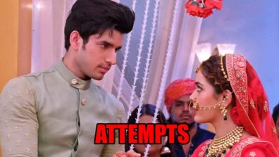 Kundali Bhagya spoiler: Rajveer attempts to save Palki’s marriage