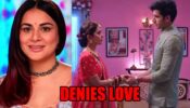 Kundali Bhagya spoiler: Rajveer denies love for Palki in front of Preeta