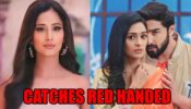 Bhagya Lakshmi spoiler: Malishka catches Rishi and Lakshmi red handed?