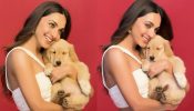 Meet Kiara Advani’s new-found love in life