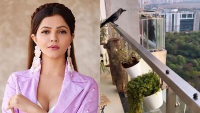 Meet Rubina Dilaik’s new buddy in life