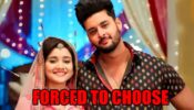 Meet spoiler: Manmeet and Meet forced to choose between Sarkar Mahal and Cheeku