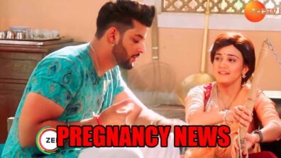 Meet spoiler: Meet reveals her pregnancy news to Manmeet