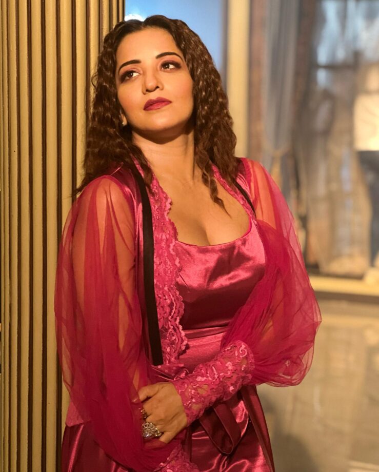 Monalisa Looks Sizzling In Satin Gown, Vikrant Singh Feels Love 806870