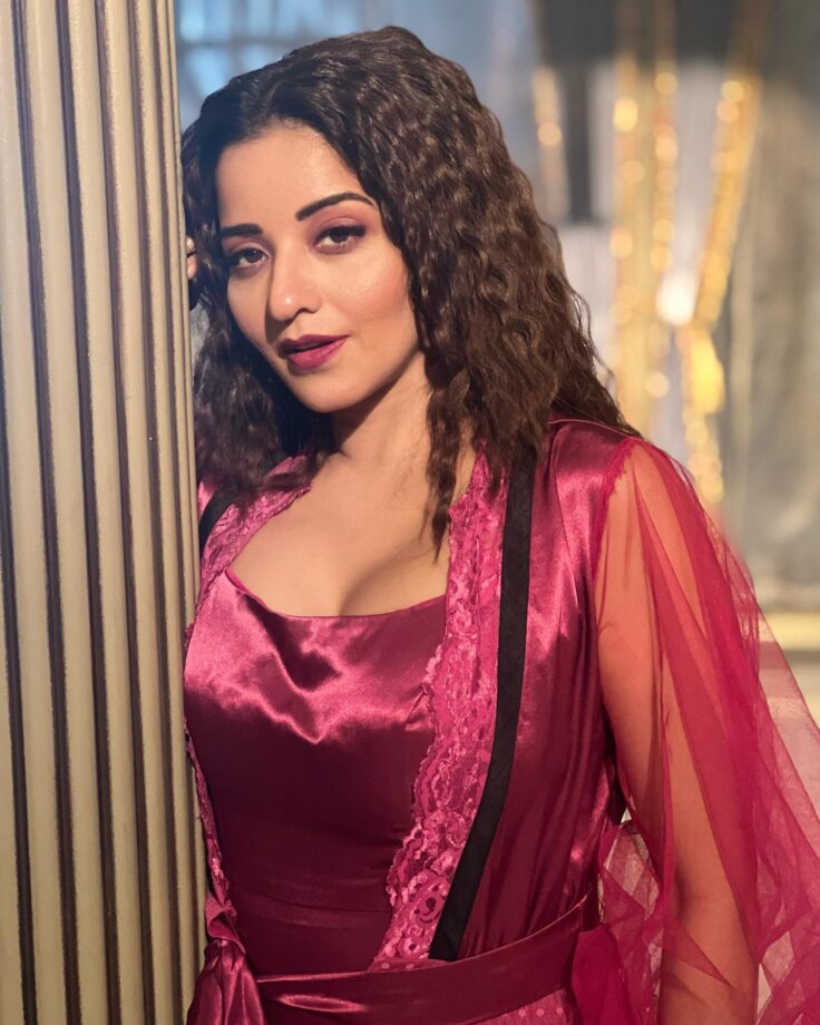 Monalisa Looks Sizzling In Satin Gown, Vikrant Singh Feels Love 806871