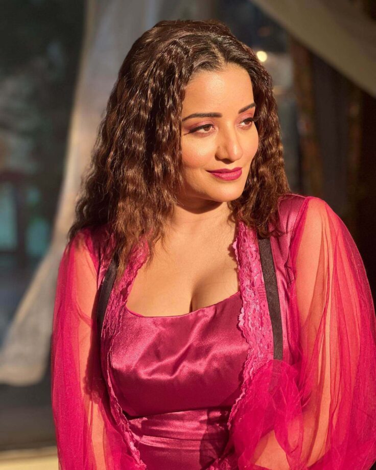 Monalisa Looks Sizzling In Satin Gown, Vikrant Singh Feels Love 806872