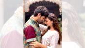 No Kiara, Only Kartik In The Farewell Dance Number