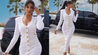 Nora Fatehi flaunts curvaceous structure like a queen, internet feels the burn