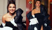 Paris Hilton reacts to Priyanka Chopra’s stunning MET Gala 2023 look, see comment