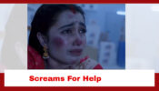 Pyar Ka Pehla Naam Radha Mohan Spoiler: Radha screams for help from inside the freezer room